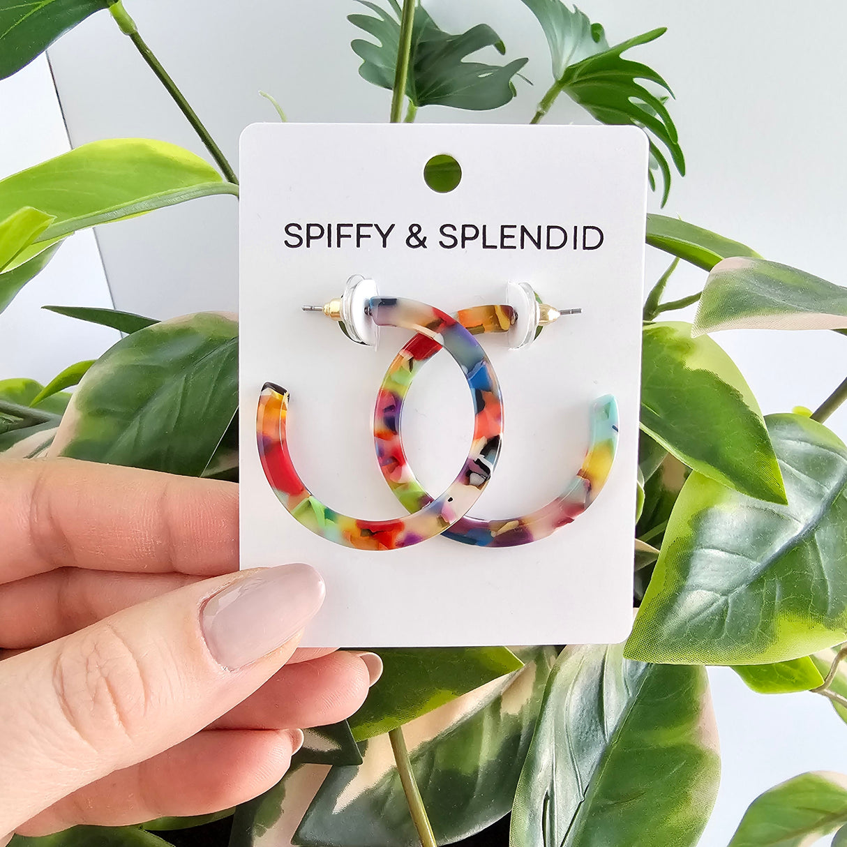 Camy Hoops - Fiesta from Spiffy & Splendid