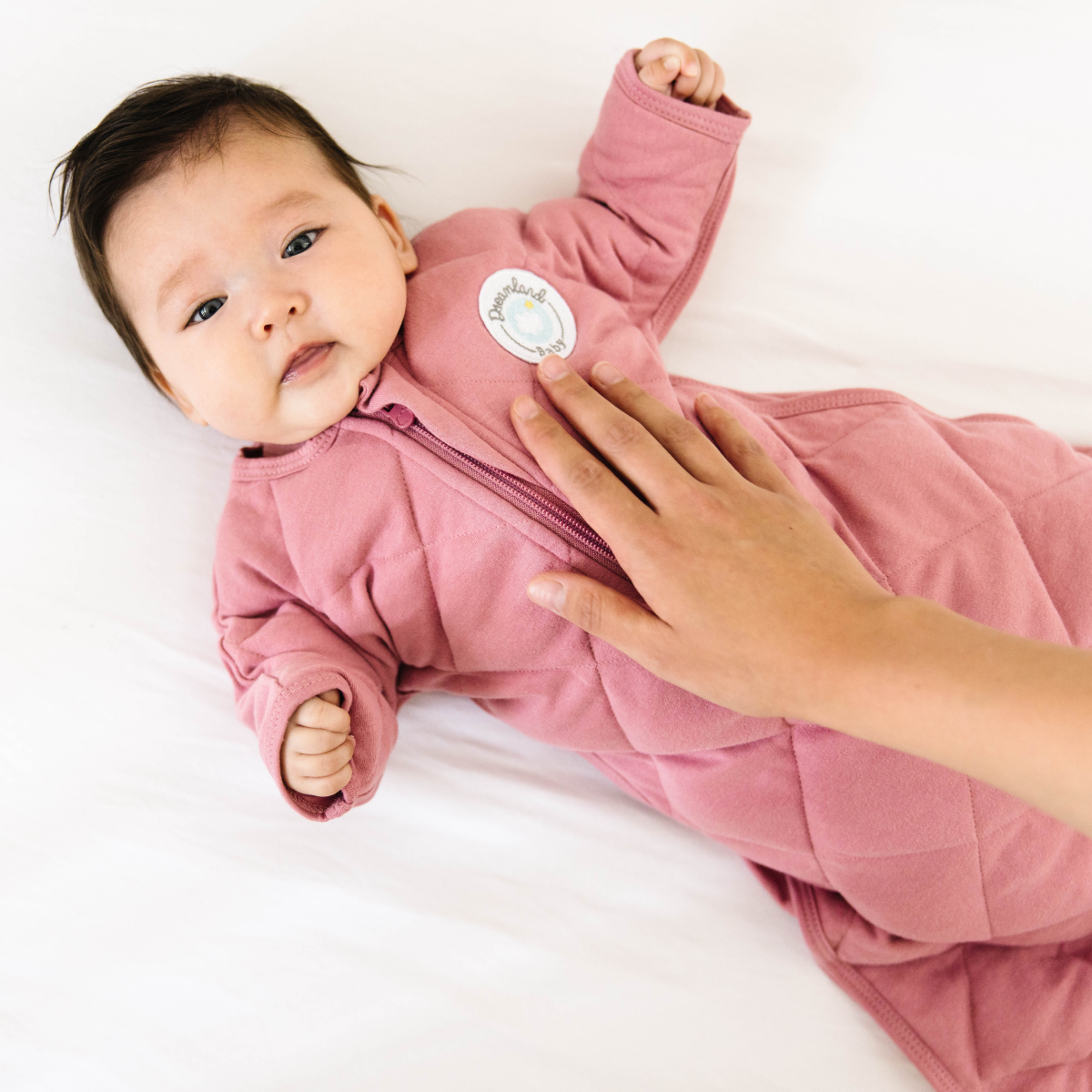 Dream Weighted Transition Swaddle From Dreamland Baby