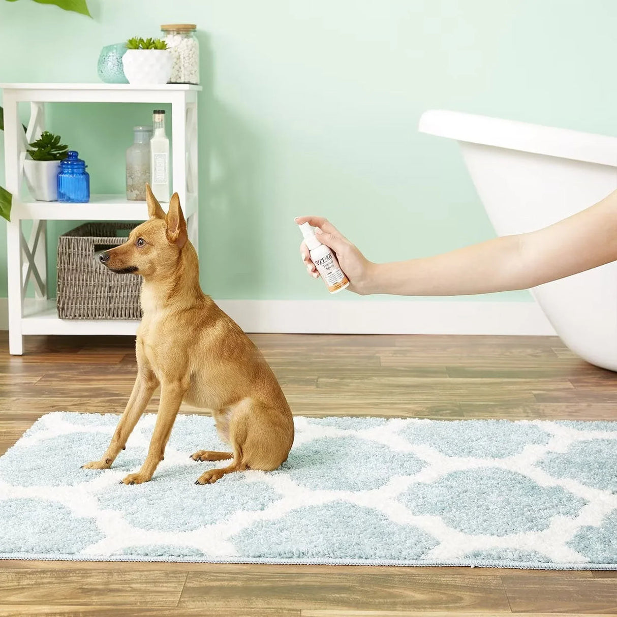 Zymox Topical Spray Hydrocortisone Free for Dogs & Cats (2 oz) from HardyPaw