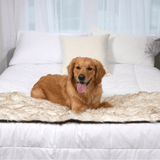 PupProtector™ Waterproof Bed Runner - White with Brown Accents from Paw.com