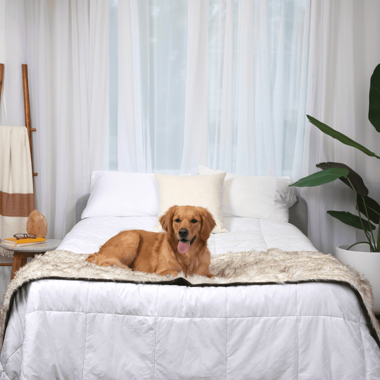 PupProtector™ Waterproof Bed Runner - White with Brown Accents from Paw.com