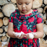 Ruffle Collar Party Dress - Baby from Hope & Henry