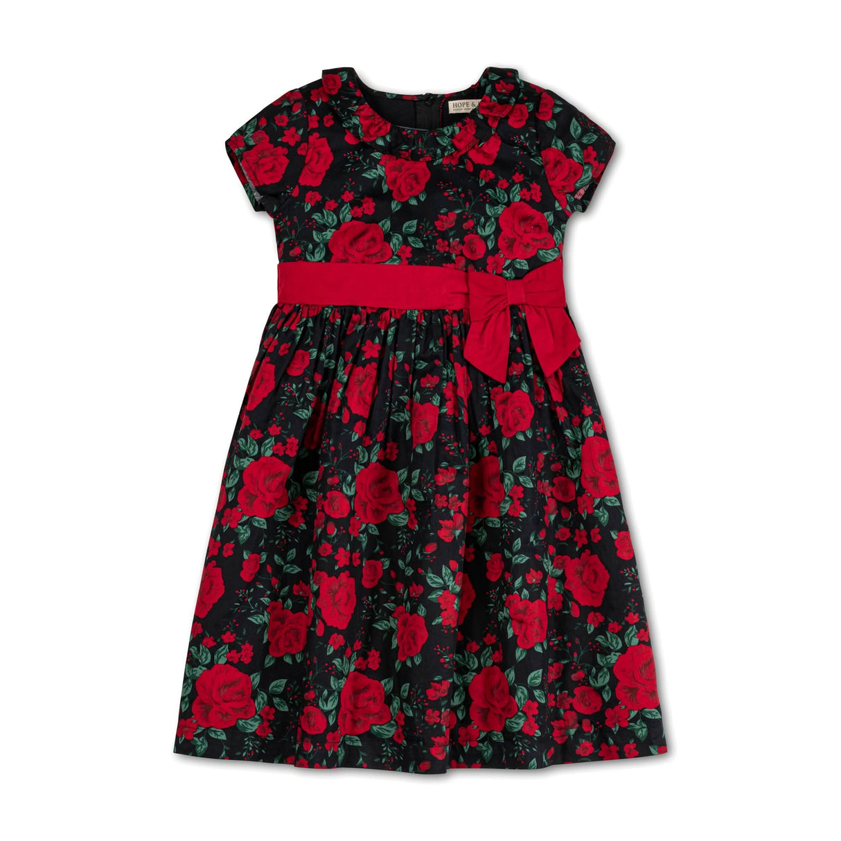 Ruffle Collar Party Dress - Baby from Hope & Henry