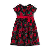 Ruffle Collar Party Dress - Baby from Hope & Henry
