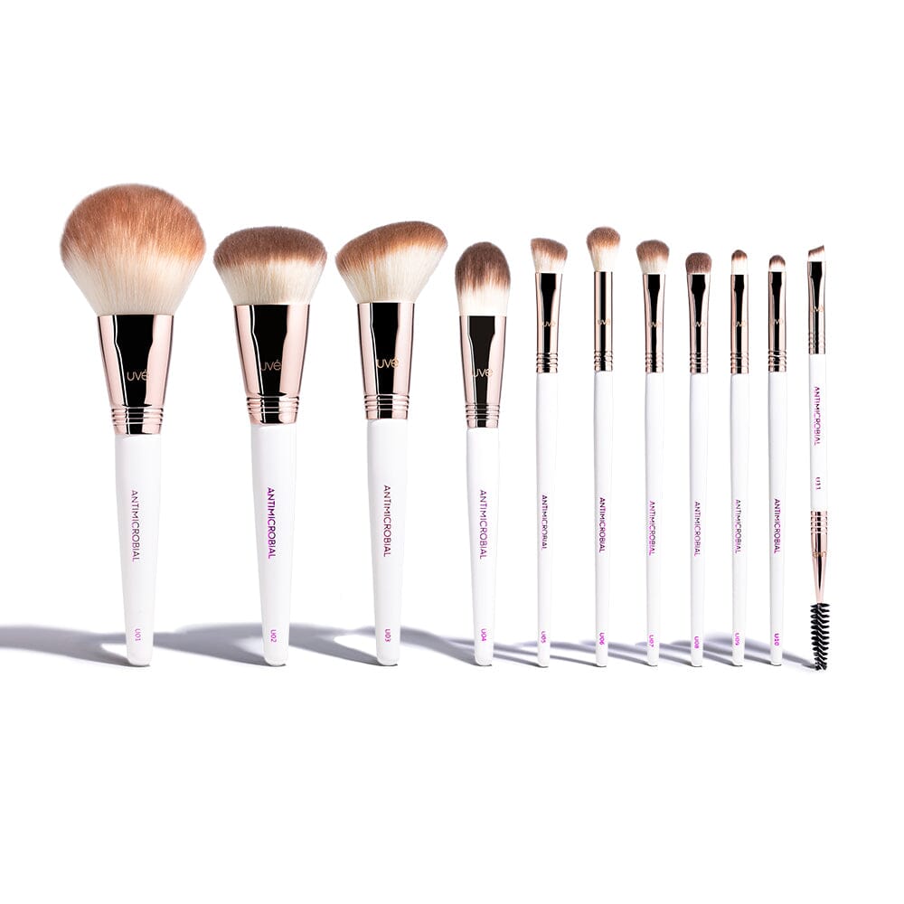 Professional Antimicrobial Brush Set  (11+)