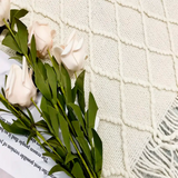 Sunset Siesta Sofa Blanket from Moderny