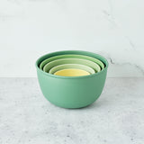 Astrik Mixing Bowls (5 Piece) From Bamboozle Home