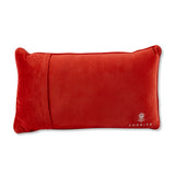 Horrible Idea Needlepoint Pillow from Furbish Studio