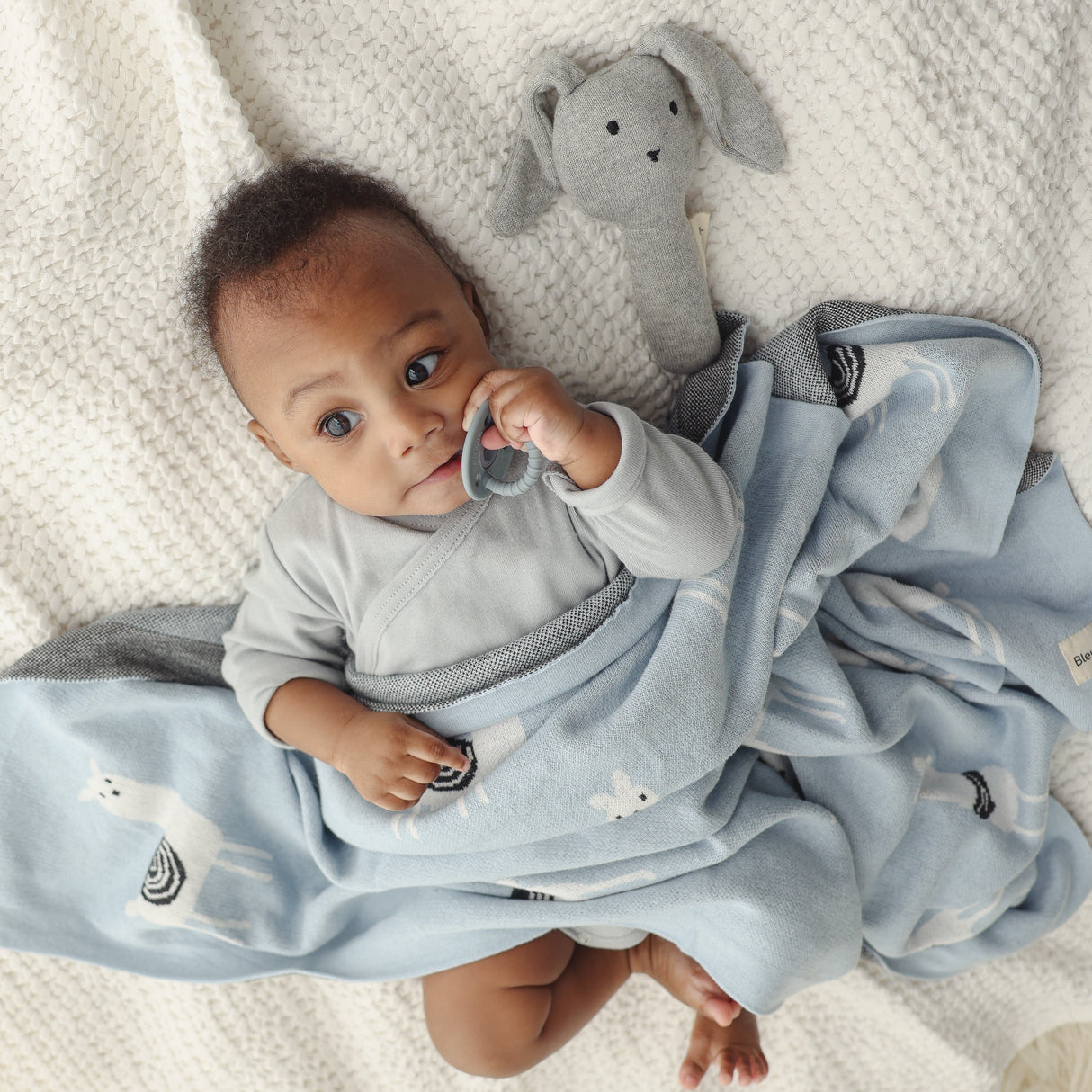 Luxury Knit Llama Swaddle Baby Blanket from Bleu La La