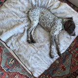 PupProtector™ Summer Short Fur Waterproof Throw Blanket - White with Brown Accents from Paw.com