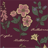 Baneful Botany Crew Socks from FootClothes