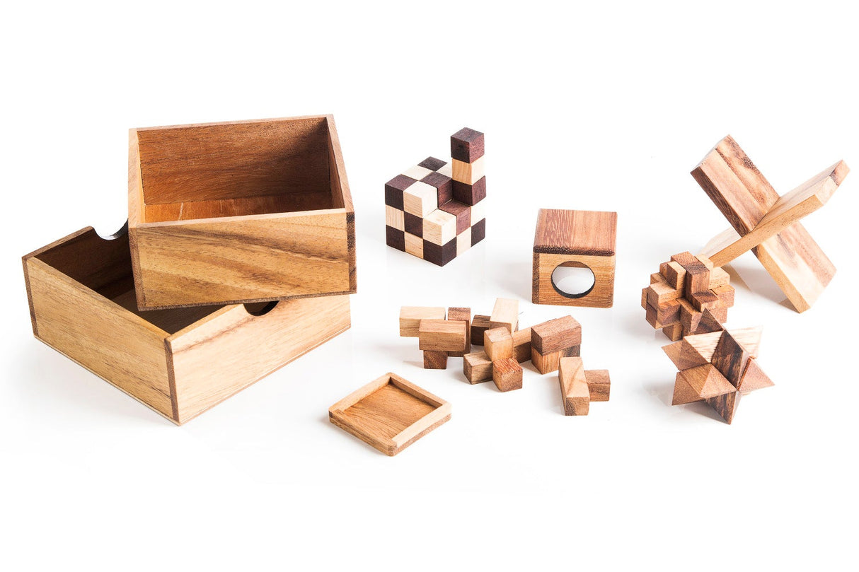 5 Mechanical Puzzle Set - Puzzle Gift Box For Adults from Kubiya Games