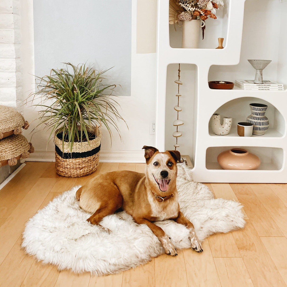 PupRug by Paw.com™ Faux Fur Orthopedic Dog Bed - Curve White with Brown Accents from Paw.com