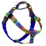 ROY G BIV Freedom No-Pull Dog Harness – EarthStyle from 2 Hounds Design