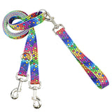 ROY G BIV Double Connection Leash – EarthStyle from 2 Hounds Design