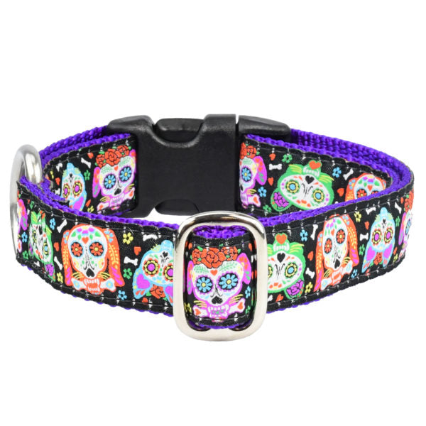 1″ XOLO – Sugar Skull Essential Dog Collar from 2 Hounds Design
