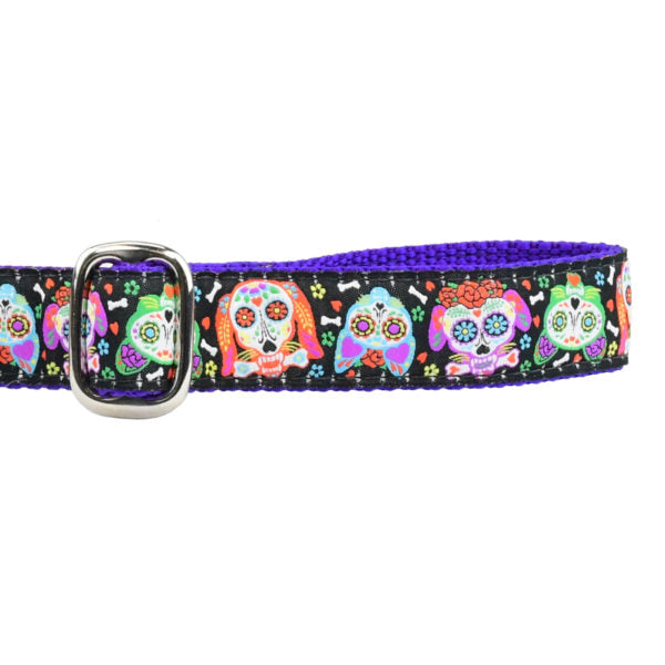1″ XOLO – Sugar Skull Ribbon Dog Leash from 2 Hounds Design