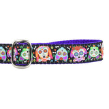 1″ XOLO – Sugar Skull Ribbon Dog Leash from 2 Hounds Design