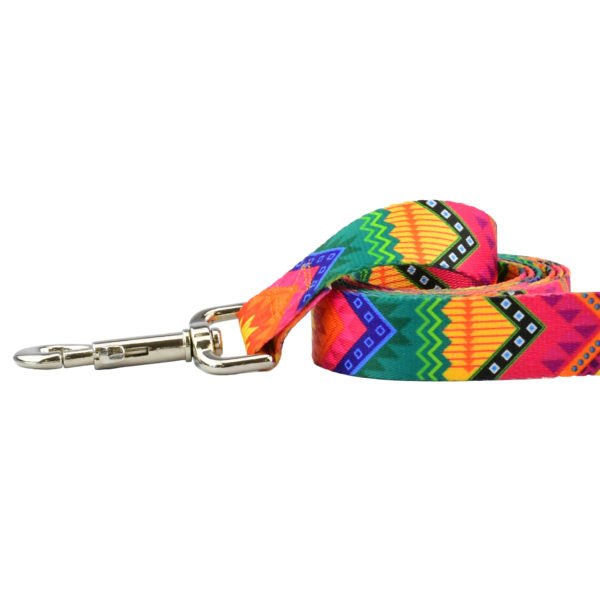 BFF (Best Friends Forever) Dog Leash – EarthStyle from 2 Hounds Design