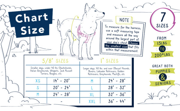 Raspberry Freedom No-Pull Dog Harness from 2 Hounds Design