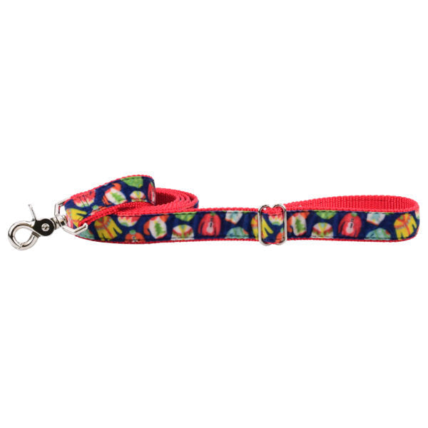 Cozy Sweaters Velvet Dog Leash (1″ Only) from 2 Hounds Design