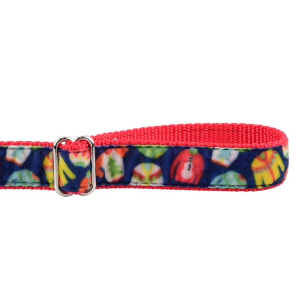 Cozy Sweaters Velvet Dog Leash (1″ Only) from 2 Hounds Design