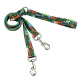Holiday Graffiti Double Connection Leash – EarthStyle from 2 Hounds Design