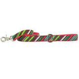 Christmas Stripes Velvet Dog Leash from 2 Hounds Design
