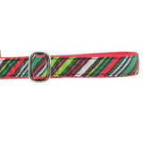 Christmas Stripes Velvet Dog Leash from 2 Hounds Design