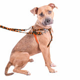 Jack O Lantern Freedom No-Pull Dog Harness – EarthStyle from 2 Hounds Design