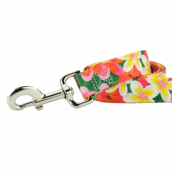 Aloha Dog Leash – EarthStyle from 2 Hounds Design