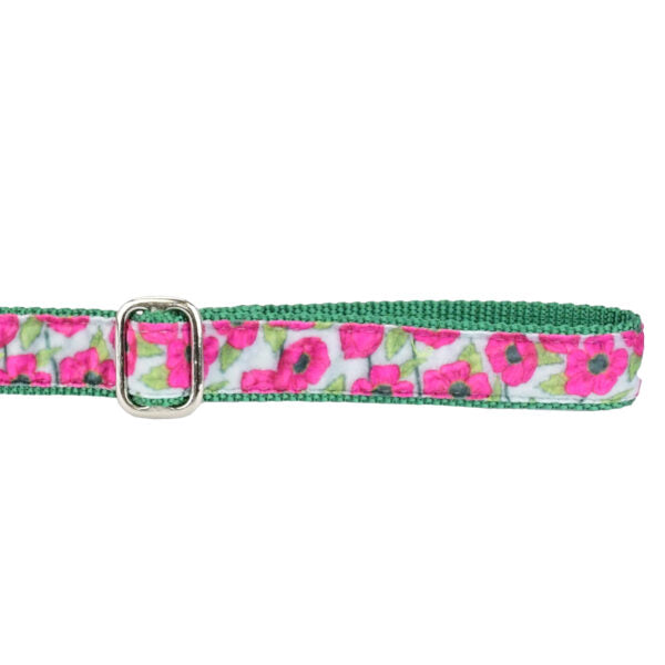Bold Poppies Velvet Dog Leash from 2 Hounds Design