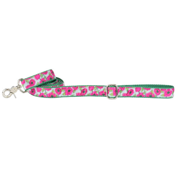 Bold Poppies Velvet Dog Leash from 2 Hounds Design