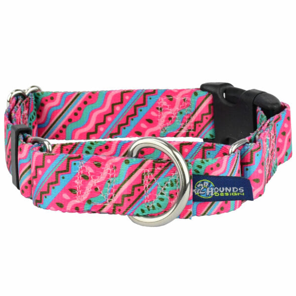 Buckle Martingale Dog Collar – EarthStyle From 2 Hounds Design