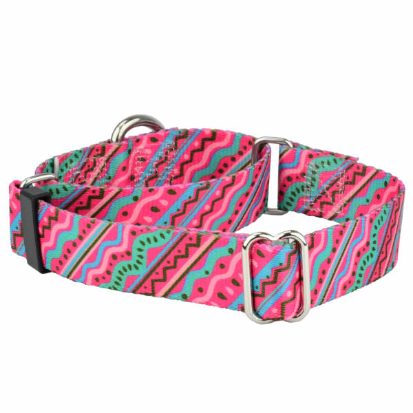 Martingale Dog Collar – EarthStyle From 2 Hounds Design