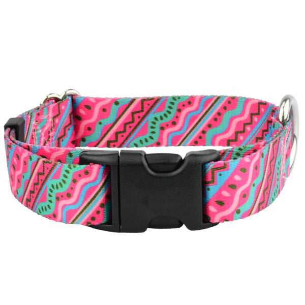 Dog Collar – EarthStyle From 2 Hounds Design