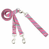 1980’s Double Connection Leash – EarthStyle from 2 Hounds Design