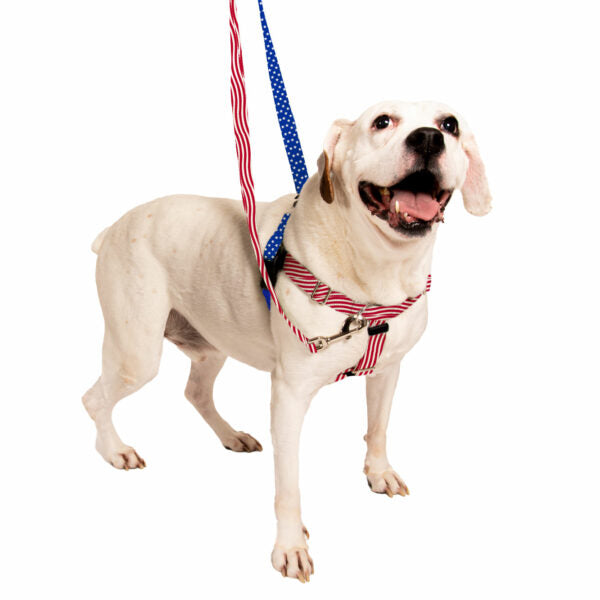 Star Spangled Freedom No-Pull Dog Harness – EarthStyle from 2 Hounds Design