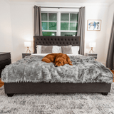 PupProtector™ Waterproof Throw Blanket - Charcoal Grey from Paw.com