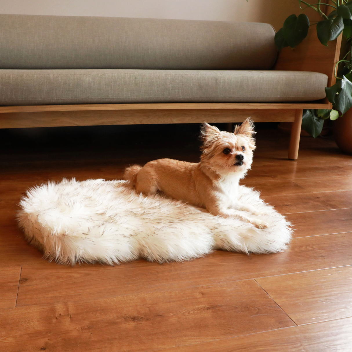 PupRug by Paw.com™ Faux Fur Orthopedic Dog Bed - Curve White with Brown Accents from Paw.com