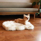 PupRug by Paw.com™ Faux Fur Orthopedic Dog Bed - Curve White with Brown Accents from Paw.com