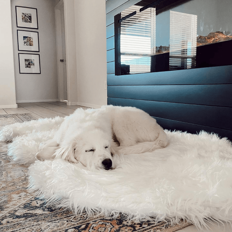PupRug by Paw.com™ Faux Fur Orthopedic Dog Bed - Curve Polar White from Paw.com