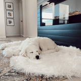 PupRug by Paw.com™ Faux Fur Orthopedic Dog Bed - Curve Polar White from Paw.com