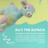 Ally the Alpaca from Health Extension