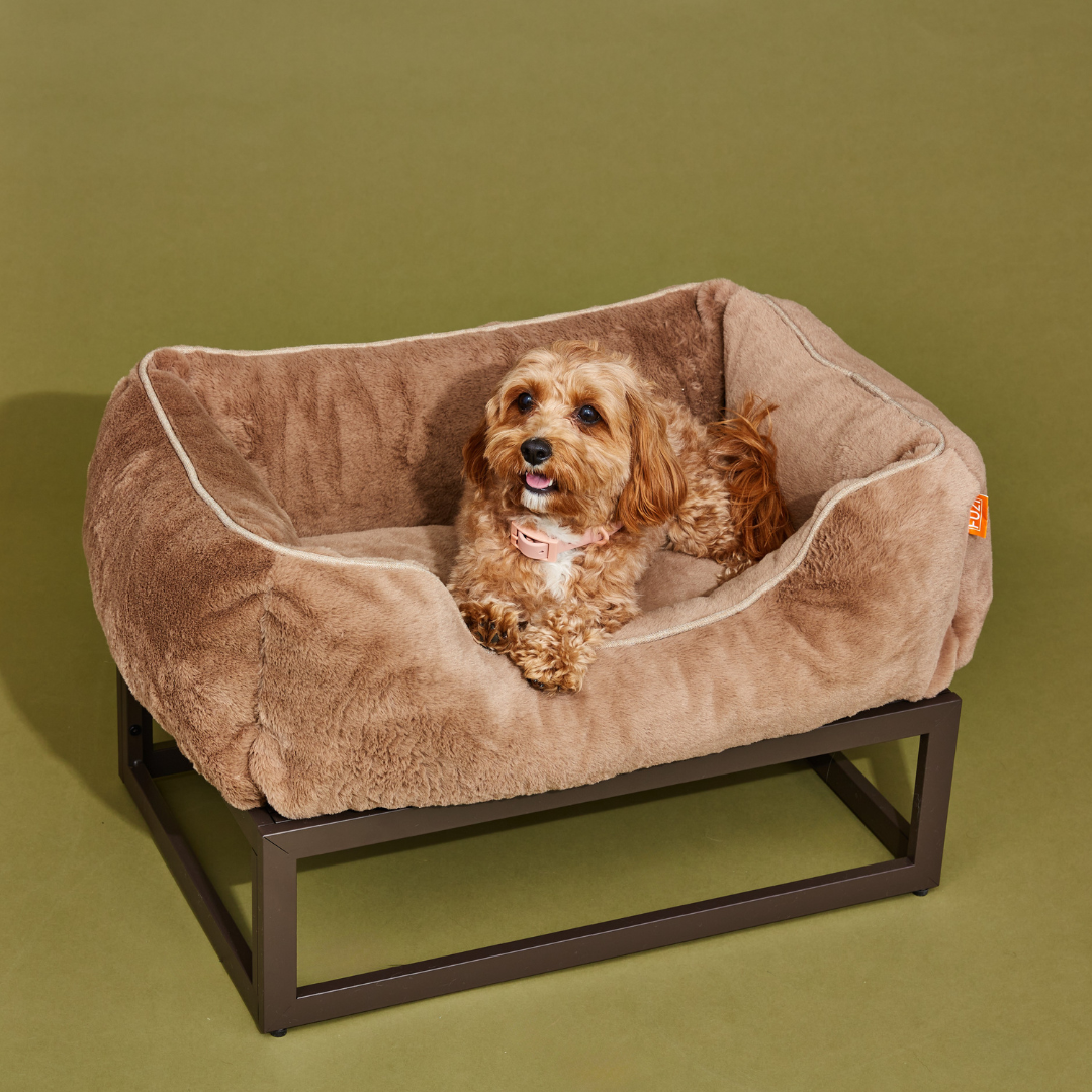 The FÜZI Dog Bed from FÜZI