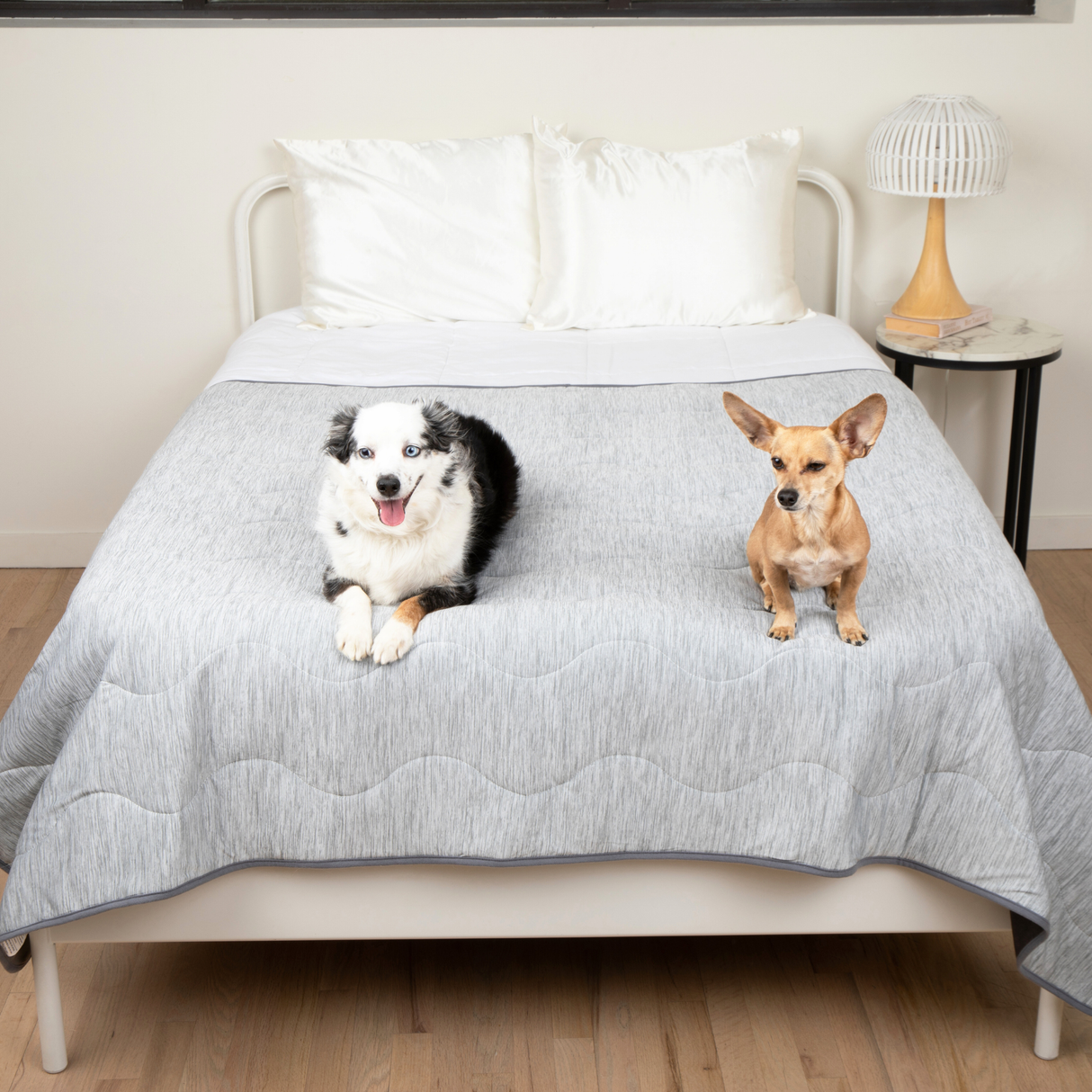 PupChill™ Cooling Waterproof Blanket - Arctic Grey from Paw.com