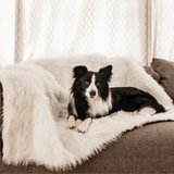 PupProtector™ Waterproof Throw Blanket - Polar White from Paw.com