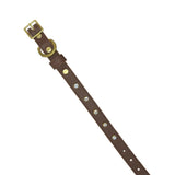 Plain Leather Dog Collar from Bonne et Filou