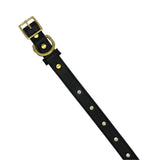 Plain Leather Dog Collar from Bonne et Filou