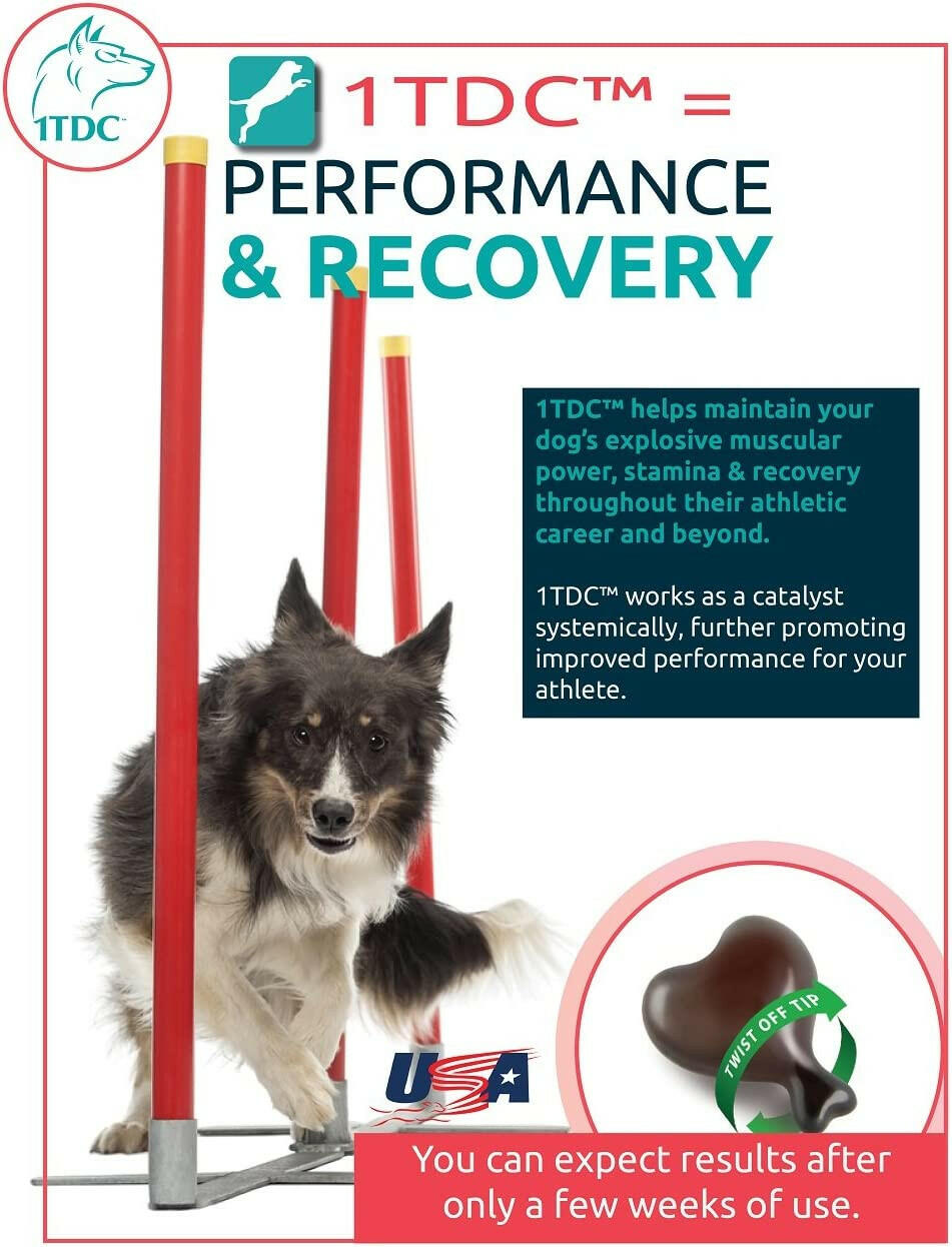 1-TDC Periodontal & Joint Health Softgels for Dogs & Cats from HardyPaw